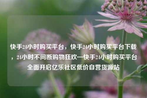 快手24小时购买平台，快手24小时购买平台下载，24小时不间断购物狂欢—快手24小时购买平台全面开启亿乐社区低价自营货源站  第1张