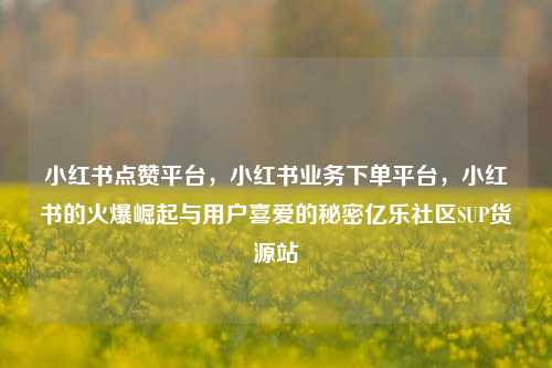 小红书点赞平台，小红书业务下单平台，小红书的火爆崛起与用户喜爱的秘密亿乐社区SUP货源站  第1张