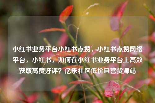 小红书业务平台小红书点赞，小红书点赞网络平台，小红书，如何在小红书业务平台上高效获取高赞好评？亿乐社区低价自营货源站  第1张