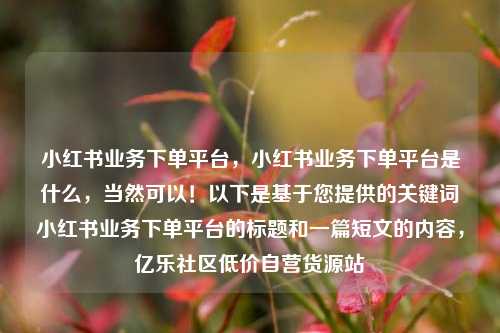 小红书业务下单平台，小红书业务下单平台是什么，当然可以！以下是基于您提供的关键词小红书业务下单平台的标题和一篇短文的内容，亿乐社区低价自营货源站  第1张