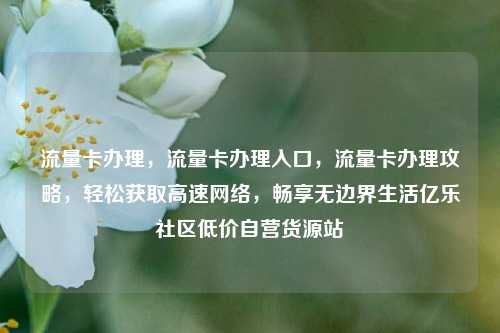流量卡办理，流量卡办理入口	，流量卡办理攻略，轻松获取高速网络，畅享无边界生活亿乐社区低价自营货源站  第1张