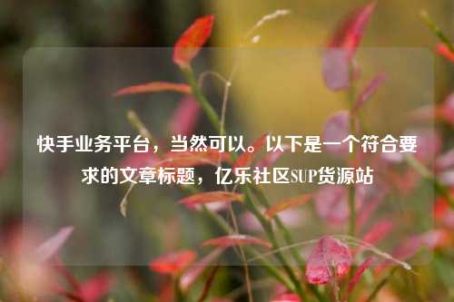 快手业务平台，当然可以。以下是一个符合要求的文章标题，亿乐社区SUP货源站  第1张
