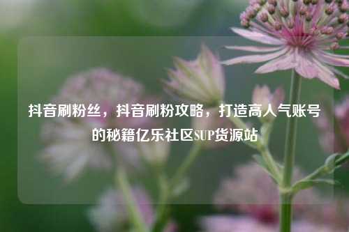 抖音刷粉丝，抖音刷粉攻略，打造高人气账号的秘籍亿乐社区SUP货源站  第1张
