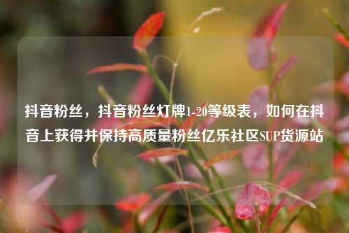 抖音粉丝，抖音粉丝灯牌1-20等级表，如何在抖音上获得并保持高质量粉丝亿乐社区SUP货源站  第1张