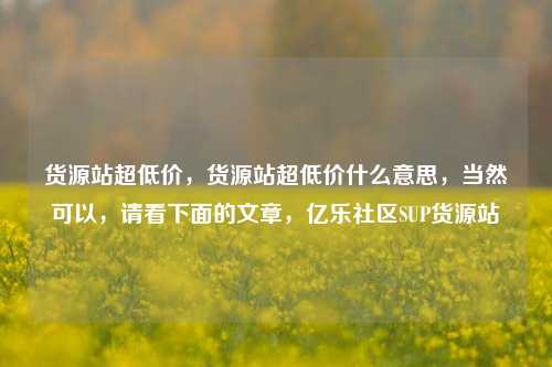 货源站超低价，货源站超低价什么意思，当然可以，请看下面的文章，亿乐社区SUP货源站  第1张