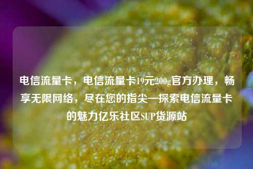 电信流量卡，电信流量卡19元200g官方办理，畅享无限网络，尽在您的指尖—探索电信流量卡的魅力亿乐社区SUP货源站  第1张