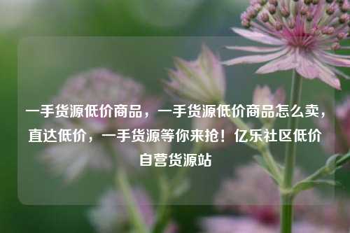 一手货源低价商品，一手货源低价商品怎么卖，直达低价，一手货源等你来抢！亿乐社区低价自营货源站  第1张