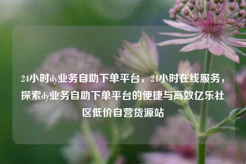 24小时dy业务自助下单平台，24小时在线服务，探索dy业务自助下单平台的便捷与高效亿乐社区低价自营货源站  第1张