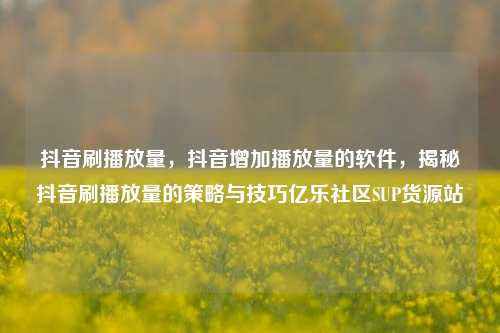 抖音刷播放量	，抖音增加播放量的软件，揭秘抖音刷播放量的策略与技巧亿乐社区SUP货源站  第1张