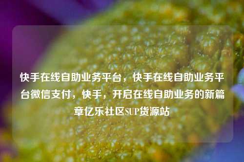快手在线自助业务平台，快手在线自助业务平台微信支付，快手，开启在线自助业务的新篇章亿乐社区SUP货源站  第1张