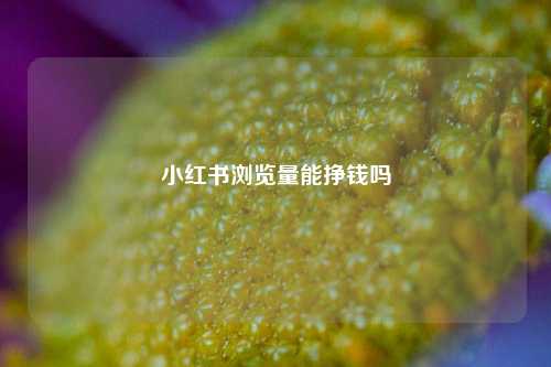 小红书浏览量能挣钱吗  第1张