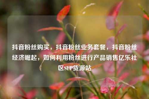 抖音粉丝购买，抖音粉丝业务套餐，抖音粉丝经济崛起，如何利用粉丝进行产品销售亿乐社区SUP货源站  第1张