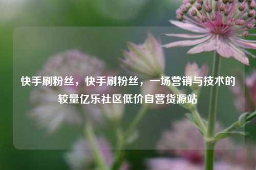 快手刷粉丝，快手刷粉丝，一场营销与技术的较量亿乐社区低价自营货源站  第1张