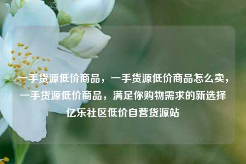 一手货源低价商品	，一手货源低价商品怎么卖，一手货源低价商品，满足你购物需求的新选择亿乐社区低价自营货源站  第1张