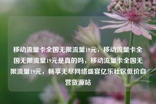 移动流量卡全国无限流量19元，移动流量卡全国无限流量19元是真的吗，移动流量卡全国无限流量19元	，畅享无尽网络盛宴亿乐社区低价自营货源站  第1张