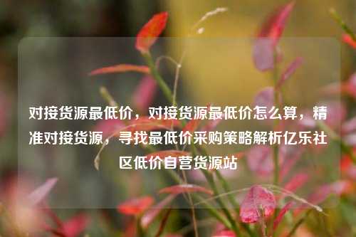 对接货源最低价，对接货源最低价怎么算，精准对接货源	，寻找最低价采购策略解析亿乐社区低价自营货源站  第1张
