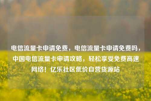 电信流量卡申请免费，电信流量卡申请免费吗，中国电信流量卡申请攻略，轻松享受免费高速网络！亿乐社区低价自营货源站  第1张