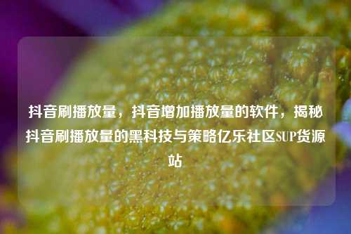 抖音刷播放量	，抖音增加播放量的软件，揭秘抖音刷播放量的黑科技与策略亿乐社区SUP货源站  第1张