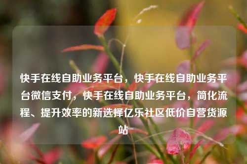 快手在线自助业务平台，快手在线自助业务平台微信支付，快手在线自助业务平台	，简化流程、提升效率的新选择亿乐社区低价自营货源站  第1张