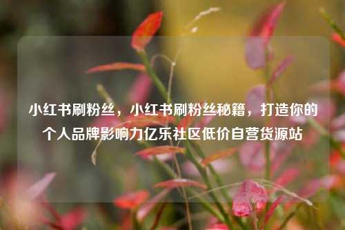 小红书刷粉丝，小红书刷粉丝秘籍，打造你的个人品牌影响力亿乐社区低价自营货源站  第1张