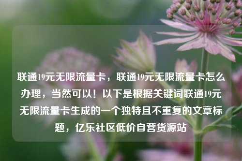 联通19元无限流量卡，联通19元无限流量卡怎么办理	，当然可以！以下是根据关键词联通19元无限流量卡生成的一个独特且不重复的文章标题，亿乐社区低价自营货源站  第1张