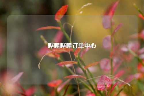 哔哩哔哩订单中心  第1张