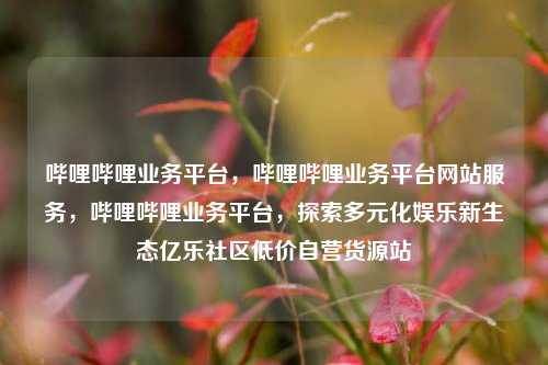 哔哩哔哩业务平台，哔哩哔哩业务平台网站服务，哔哩哔哩业务平台	，探索多元化娱乐新生态亿乐社区低价自营货源站  第1张