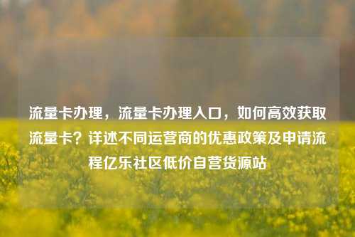 流量卡办理，流量卡办理入口，如何高效获取流量卡？详述不同运营商的优惠政策及申请流程亿乐社区低价自营货源站  第1张