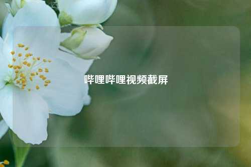 哔哩哔哩视频截屏  第1张