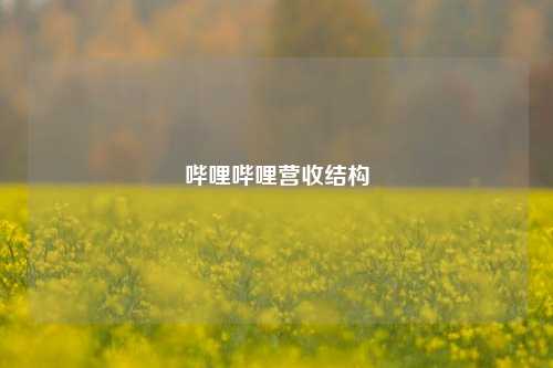 哔哩哔哩营收结构  第1张