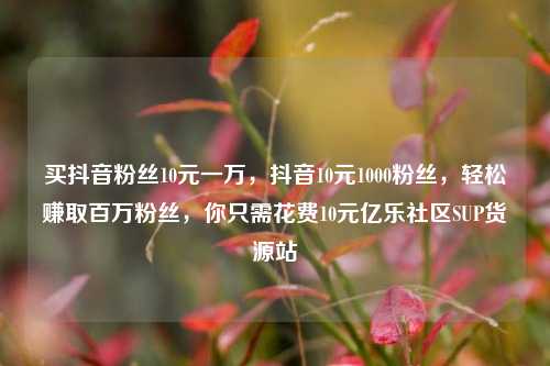 买抖音粉丝10元一万	，抖音10元1000粉丝，轻松赚取百万粉丝，你只需花费10元亿乐社区SUP货源站  第1张