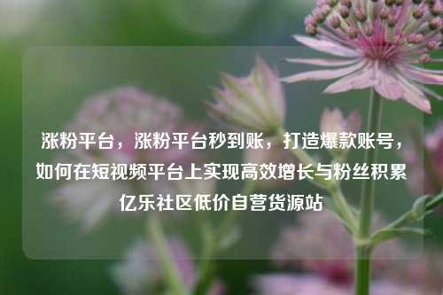 涨粉平台，涨粉平台秒到账，打造爆款账号，如何在短视频平台上实现高效增长与粉丝积累亿乐社区低价自营货源站  第1张