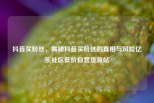 抖音买粉丝，揭秘抖音买粉丝的真相与风险亿乐社区低价自营货源站  第1张