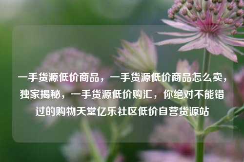 一手货源低价商品	，一手货源低价商品怎么卖，独家揭秘，一手货源低价购汇，你绝对不能错过的购物天堂亿乐社区低价自营货源站  第1张
