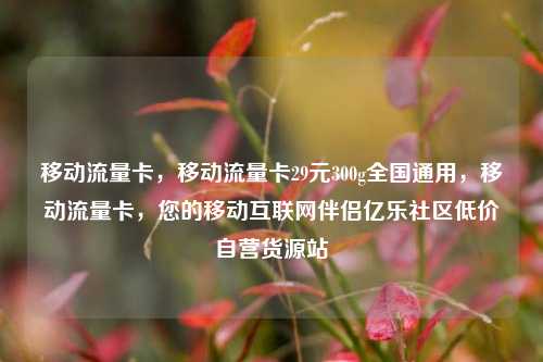 移动流量卡，移动流量卡29元300g全国通用，移动流量卡，您的移动互联网伴侣亿乐社区低价自营货源站  第1张