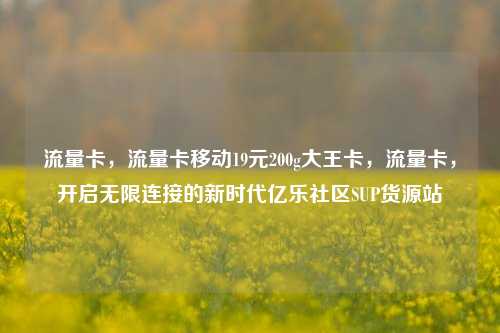 流量卡，流量卡移动19元200g大王卡，流量卡，开启无限连接的新时代亿乐社区SUP货源站  第1张