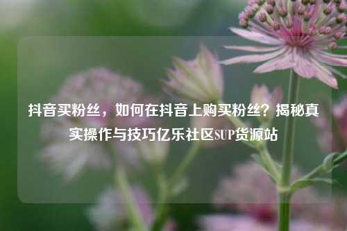 抖音买粉丝，如何在抖音上购买粉丝？揭秘真实操作与技巧亿乐社区SUP货源站  第1张