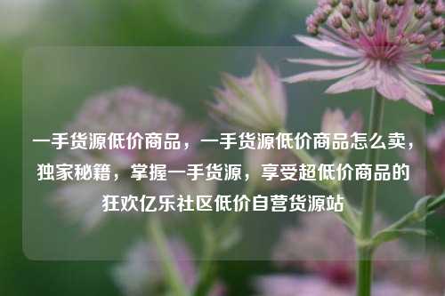 一手货源低价商品	，一手货源低价商品怎么卖，独家秘籍，掌握一手货源	，享受超低价商品的狂欢亿乐社区低价自营货源站  第1张