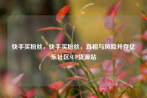 快手买粉丝，快手买粉丝	，真相与风险并存亿乐社区SUP货源站  第1张
