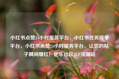 小红书点赞24小时服务平台，小红书任务接单平台	，小红书点赞24小时服务平台，让您的帖子瞬间爆红！亿乐社区SUP货源站  第1张
