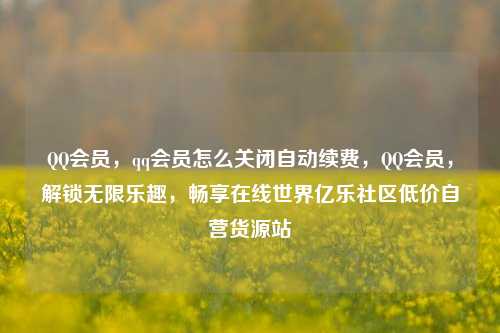 QQ会员	，qq会员怎么关闭自动续费，QQ会员，解锁无限乐趣，畅享在线世界亿乐社区低价自营货源站  第1张