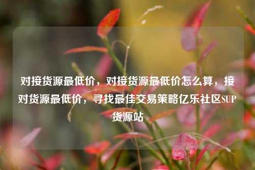 对接货源最低价，对接货源最低价怎么算	，接对货源最低价，寻找最佳交易策略亿乐社区SUP货源站  第1张