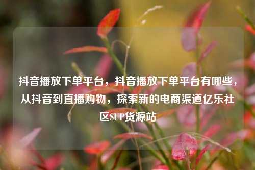 抖音播放下单平台，抖音播放下单平台有哪些	，从抖音到直播购物，探索新的电商渠道亿乐社区SUP货源站  第1张