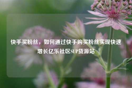 快手买粉丝，如何通过快手购买粉丝实现快速增长亿乐社区SUP货源站  第1张