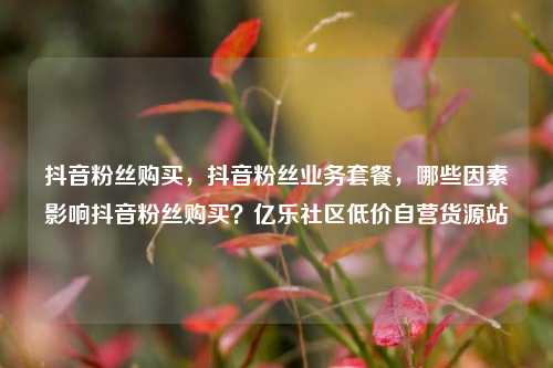 抖音粉丝购买，抖音粉丝业务套餐	，哪些因素影响抖音粉丝购买？亿乐社区低价自营货源站  第1张