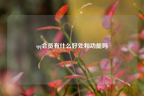 qq会员有什么好处和功能吗  第1张