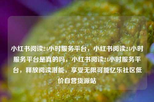 小红书阅读24小时服务平台	，小红书阅读24小时服务平台是真的吗，小红书阅读24小时服务平台，释放阅读潜能，享受无限可能亿乐社区低价自营货源站  第1张