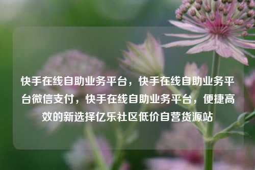 快手在线自助业务平台，快手在线自助业务平台微信支付，快手在线自助业务平台	，便捷高效的新选择亿乐社区低价自营货源站  第1张