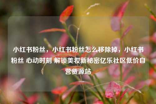 小红书粉丝，小红书粉丝怎么移除掉	，小红书粉丝 心动时刻 解锁美妆新秘密亿乐社区低价自营货源站  第1张