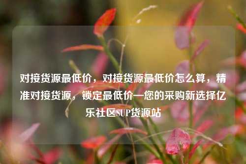 对接货源最低价，对接货源最低价怎么算	，精准对接货源，锁定最低价—您的采购新选择亿乐社区SUP货源站  第1张